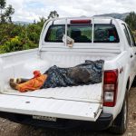 Hallan cadáver con signos de violencia en la vía Loja–Zamora; autoridades buscan identificar a la víctima